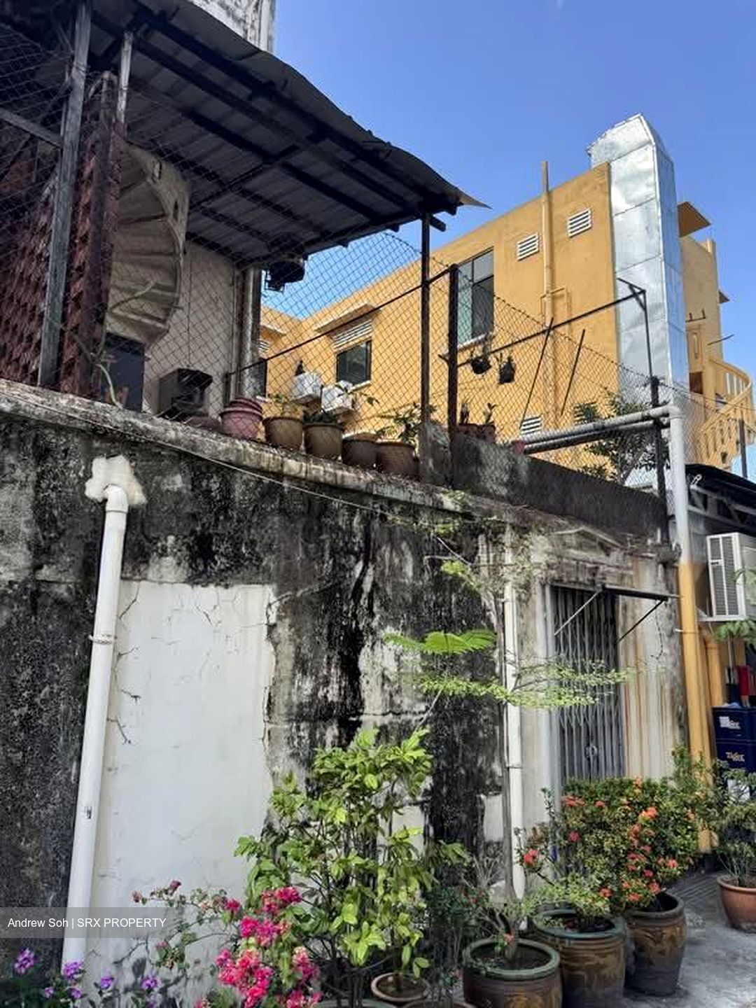 Sims Avenue (D14), Shop House #581309971